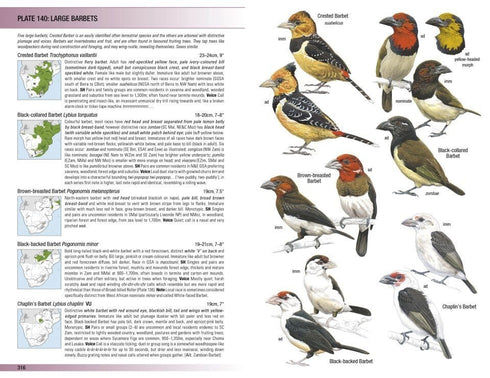 Field Guide to Birds of Greater Southern Africa -  Barnes, K. ym 2024